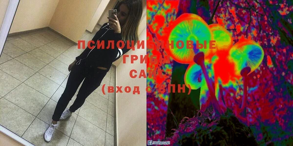 гидра Балахна